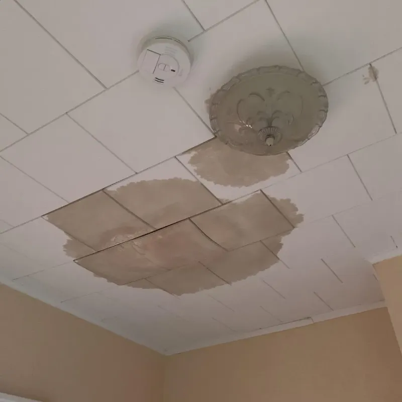 Ceiling Water Damage Repair in Liberty, PA