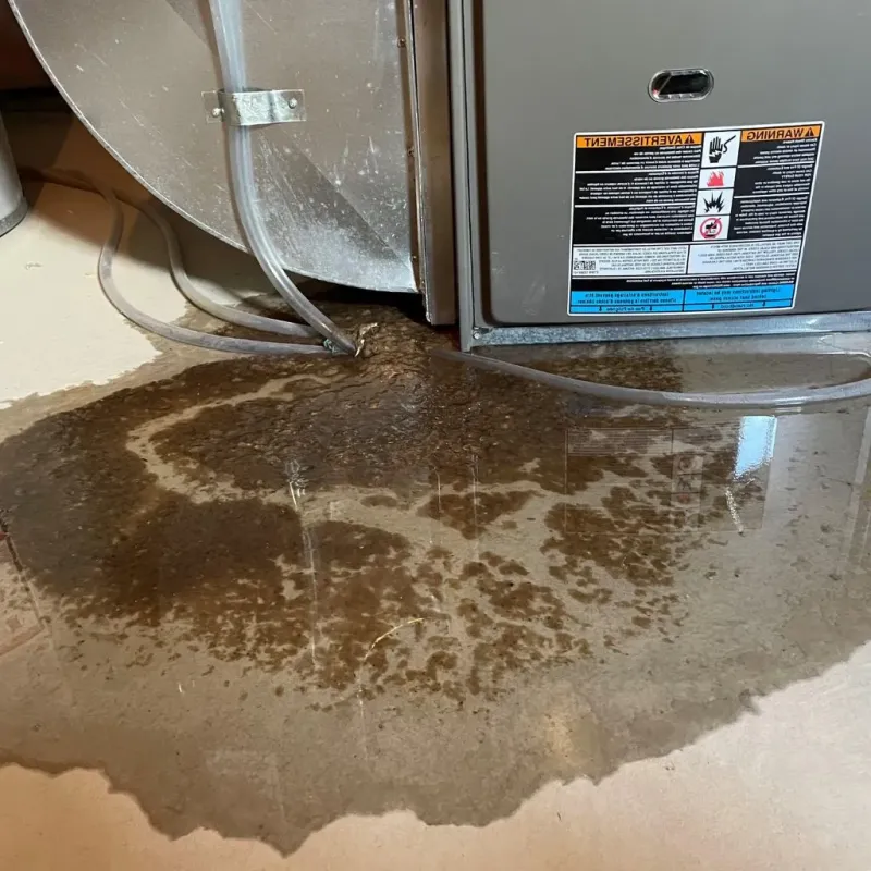 Pipe Burst and Leak Restoration in Liberty, PA