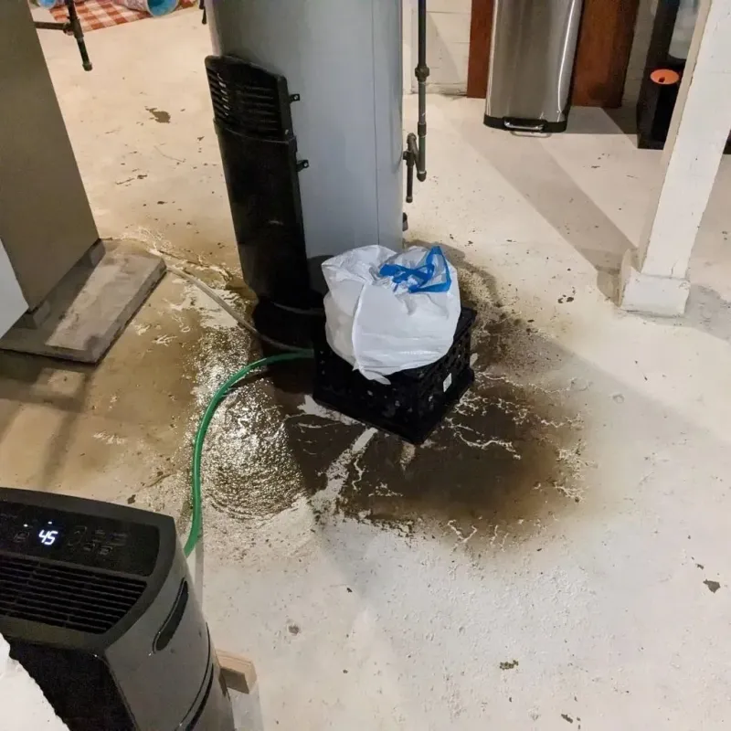 Sewage Backup Cleanup Service in Liberty, PA